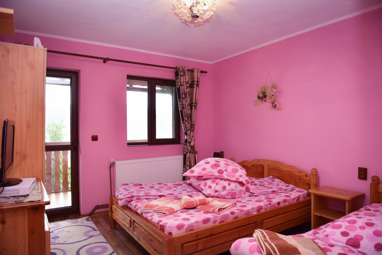 Hotel Casa Edy Colibiţa Esterno foto